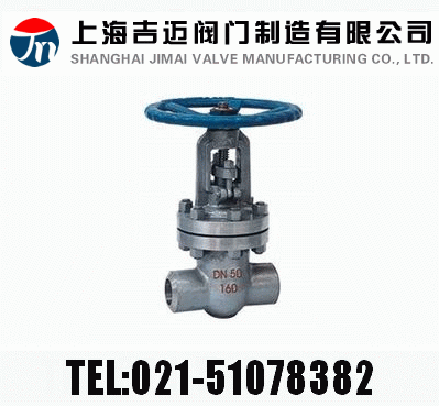 Z61HZ61YZ61W  PN100~PN160 в庸Шʽly